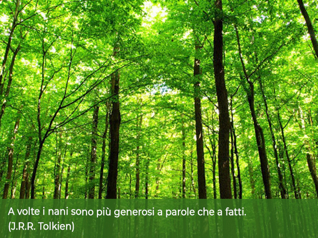 A volte i nani sono più generosi a parole che a fatti.(J.R.R. Tolkien)