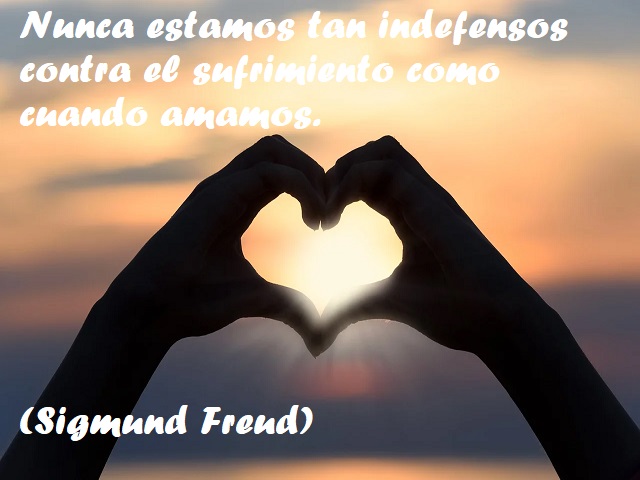 Nunca estamos tan indefensos contra el sufrimiento como cuando amamos. (Non siamo mai così indifesi verso la sofferenza, come nel momento in cui amiamo.) (Sigmund Freud)