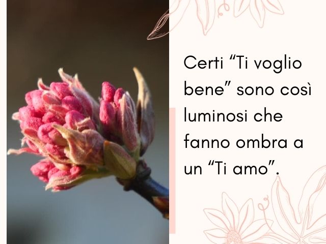 Certi “Ti voglio bene” sono così luminosi che fanno ombra a un “Ti amo”.