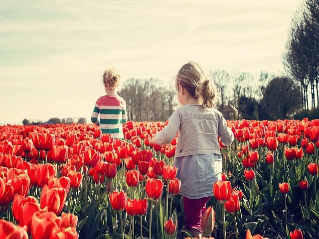 frasi sulla natura per bambini