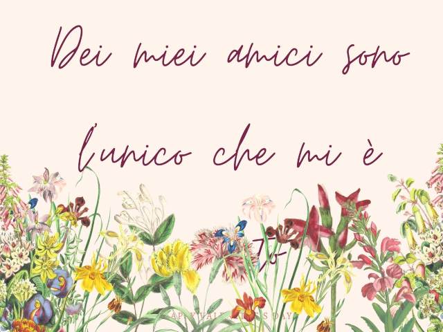 Dei miei amici sono l'unico che mi è rimasto