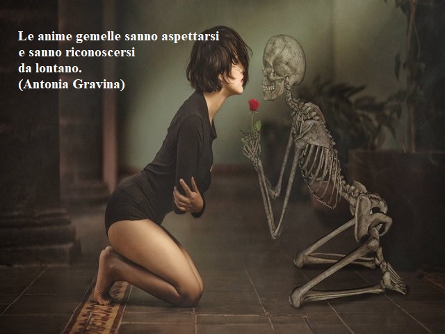 Le anime gemelle sanno aspettarsi e sanno riconoscersi da lontano.(Antonia Gravina)