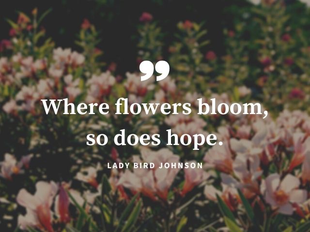 Where flowers bloom, so does hope (Dove fioriscono i fiori lo fa anche la speranza).