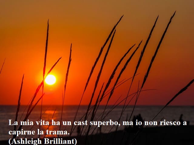La mia vita ha un cast superbo, ma io non riesco a capirne la trama.(Ashleigh Brilliant)