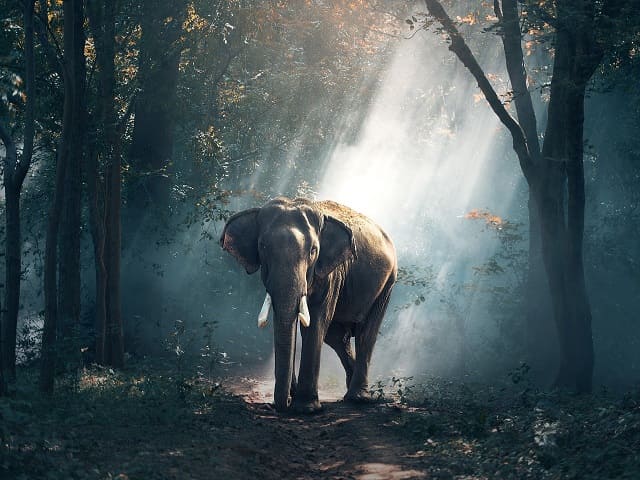 immagini belle della natura