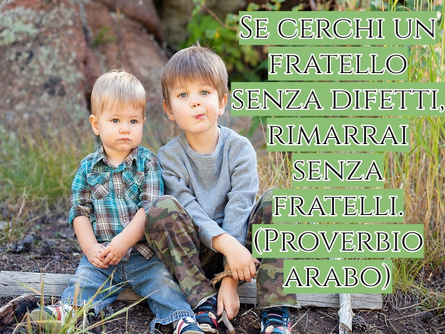Se cerchi un fratello senza difetti, rimarrai senza fratelli.(Proverbio arabo)