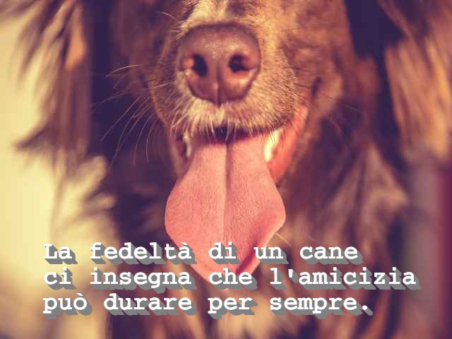 La fedeltà di un cane ci insegna che l'amicizia può durare per sempre.
