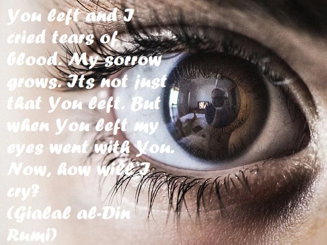 You left and I cried tears of blood. My sorrow grows. Its not just that You left. But when You left my eyes went with You. Now, how will I cry? (Te ne sei andato e ho pianto lacrime di sangue. Il mio dolore cresce. Non è solo quello che hai lasciato. Ma q