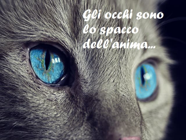Gli occhi sono lo spacco dell'anima...