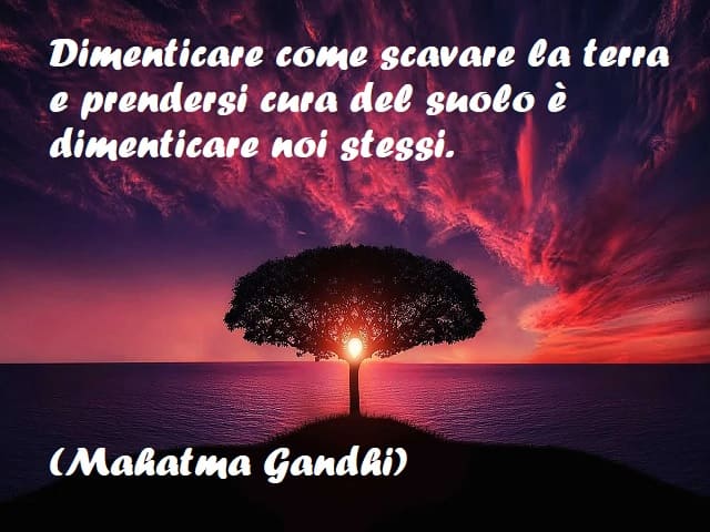 Dimenticare come scavare la terra e prendersi cura del suolo è dimenticare noi stessi. (Mahatma Gandhi)