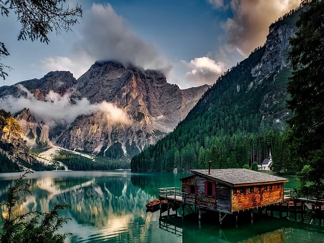 immagine natura