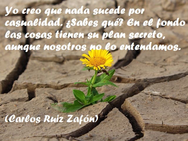 Yo creo que nada sucede por casualidad. ¿Sabes qué? En el fondo las cosas tienen su plan secreto, aunque nosotros no lo entendamos. (Nulla succede per caso, non credi? Tutto, in fondo, è governato da un’intelligenza oscura. Il tutto fa parte di qualcosa c