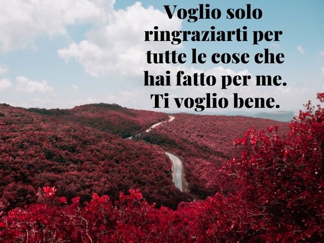 Voglio solo ringraziarti per tutte le cose che hai fatto per me. Ti voglio bene.