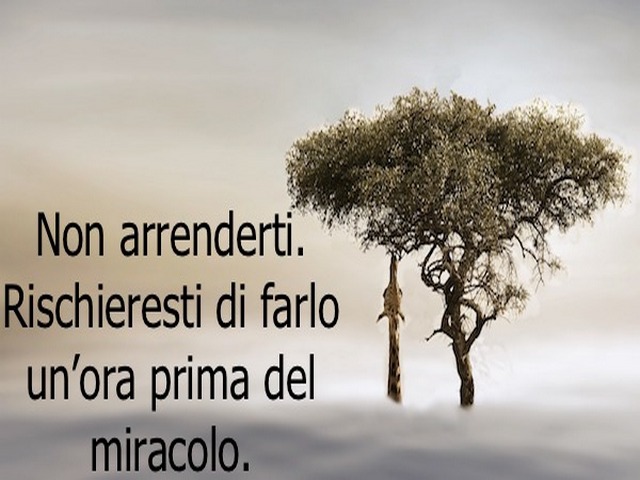 Non arrenderti. Rischieresti di farlo un'ora prima del miracolo.