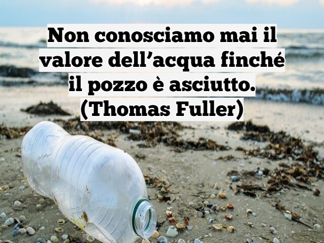 Non conosciamo mai il valore dell’acqua finché il pozzo è asciutto.(Thomas Fuller)