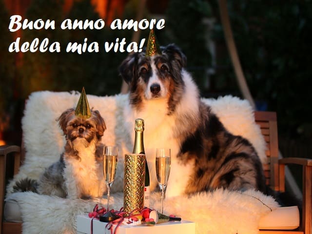 Buon anno amore della mia vita!