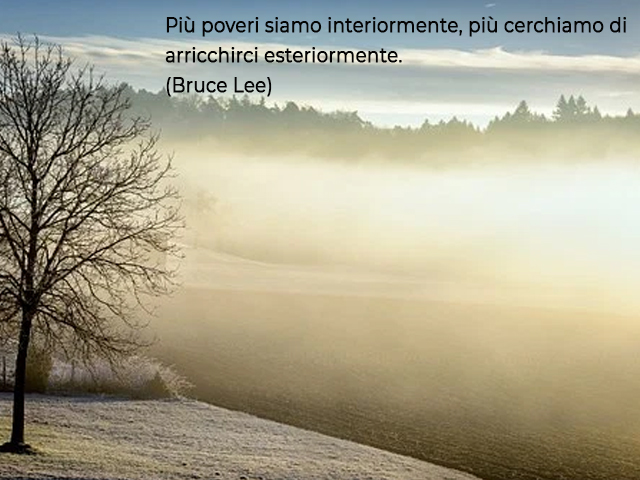 Più poveri siamo interiormente, più cerchiamo di arricchirci esteriormente.(Bruce Lee)