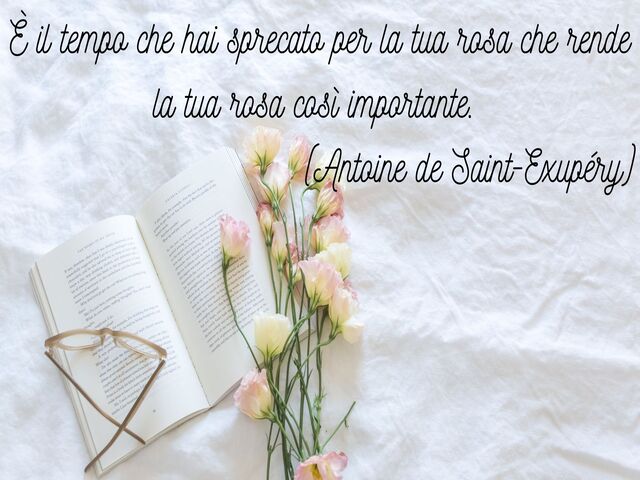 È il tempo che hai sprecato per la tua rosa che rende la tua rosa così importante. (Antoine de Saint-Exupéry)