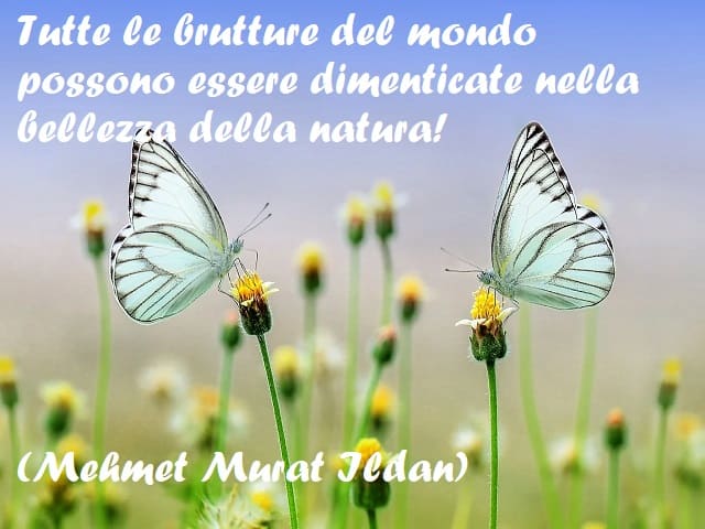 Tutte le brutture del mondo possono essere dimenticate nella bellezza della natura! (Mehmet Murat ildan)