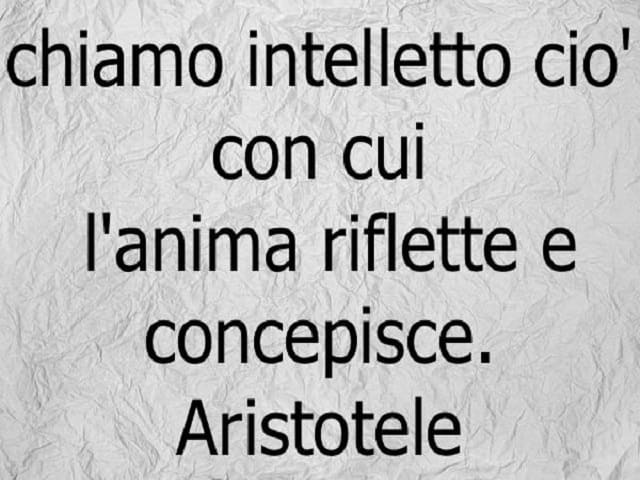 Chiamo intelletto ciò con cui l'anima riflette e concepisce. (Aristotele)