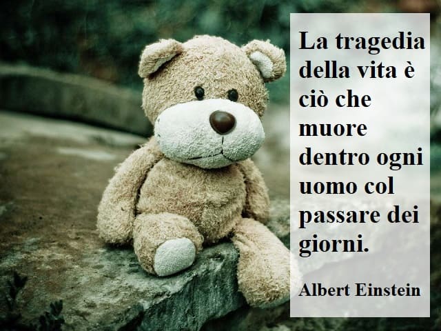 La tragedia della vita è ciò che muore dentro ogni uomo col passar dei giorni.(Albert Einstein)