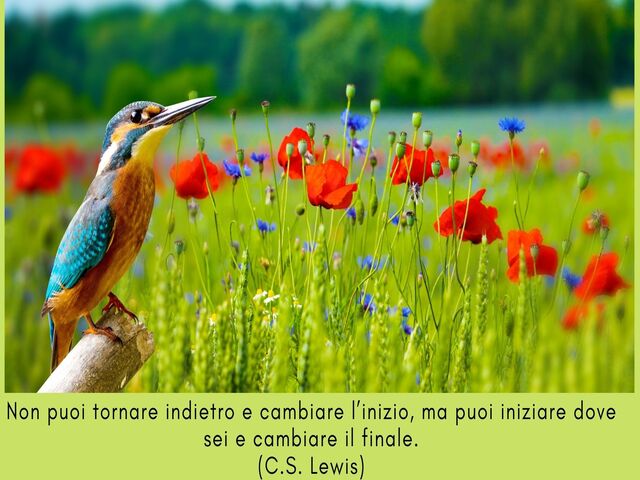 Non puoi tornare indietro e cambiare l’inizio, ma puoi iniziare dove sei e cambiare il finale.(C.S. Lewis)