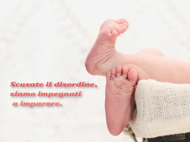 Scusate il disordine, siamo impegnati a imparare.