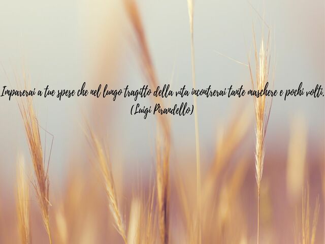 Imparerai a tue spese che nel lungo tragitto della vita incontrerai tante maschere e pochi volti.(Luigi Pirandello)