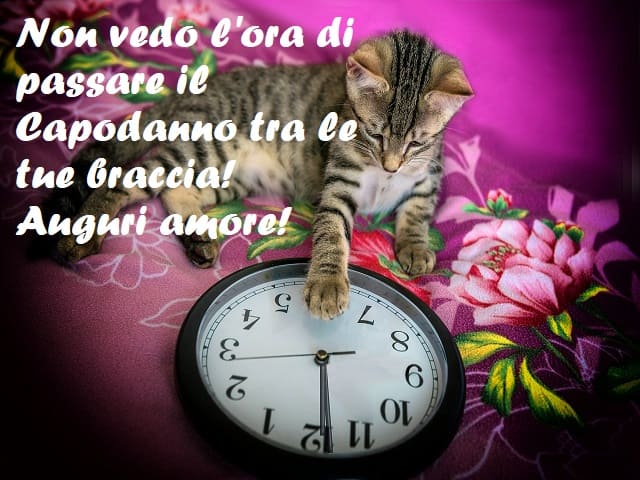 Non vedo l'ora di passare il Capodanno tra le tue braccia! Auguri amore!