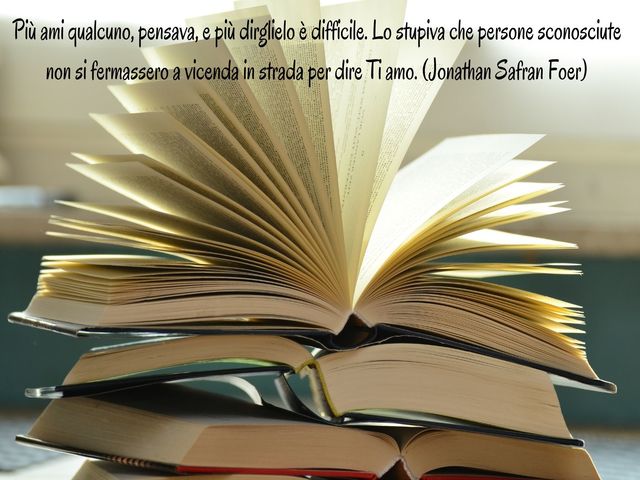 Più ami qualcuno, pensava, e più dirglielo è difficile. Lo stupiva che persone sconosciute non si fermassero a vicenda in strada per dire Ti amo. (Jonathan Safran Foer)