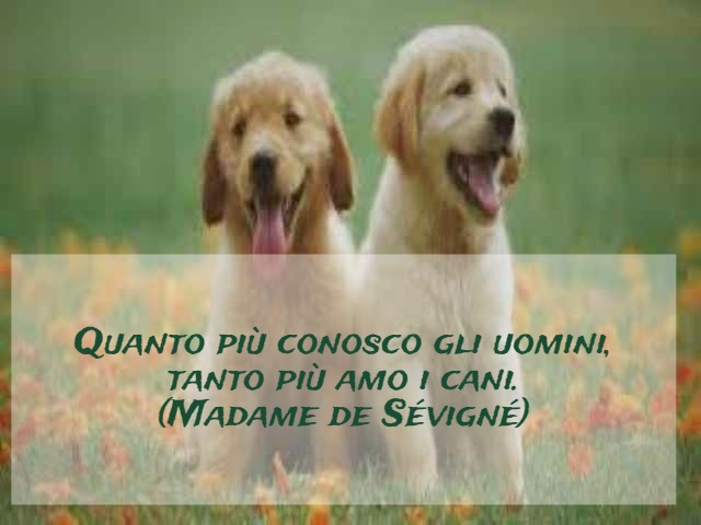 Quanto più conosco gli uomini, tanto più amo i cani.(Madame de Sévigné)