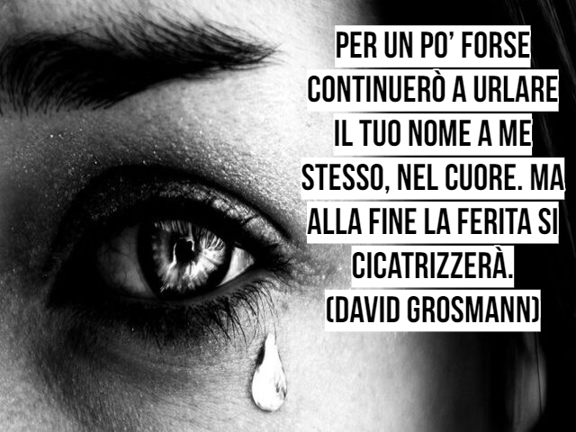 Per un po’ forse continuerò a urlare il tuo nome a me stesso, nel cuore. Ma alla fine la ferita si cicatrizzerà.(David Grosmann)