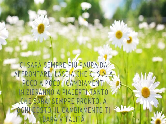Ci sarà sempre più paura da affrontare. Lascia che ci sia. A poco a poco i cambiamenti inizieranno a piacerti tanto che sarai sempre pronto, a ogni costo. Il cambiamento ti darà vitalità