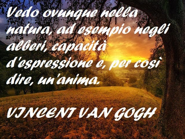 Vedo ovunque nella natura, ad esempio negli alberi, capacità d'espressione e, per così dire, un'anima. (Vincent Van Gogh)