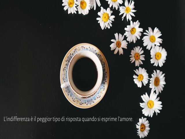 L’indifferenza è il peggior tipo di risposta quando si esprime l’amore.