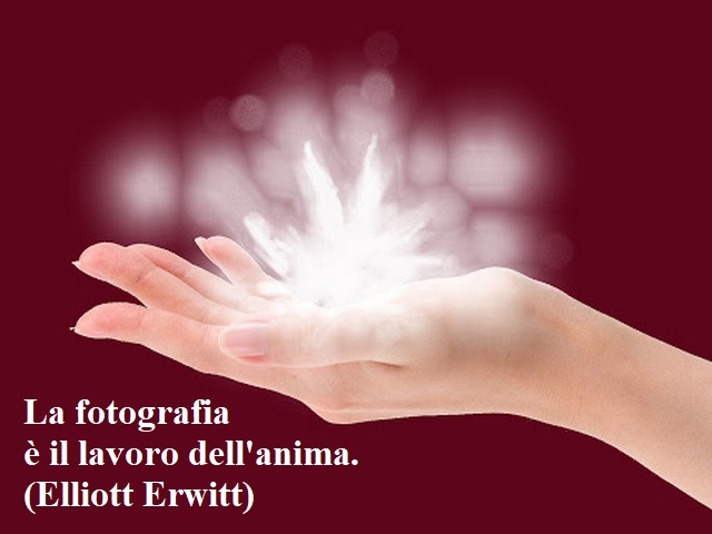 La fotografia è il lavoro dell'anima.(Elliott Erwitt)
