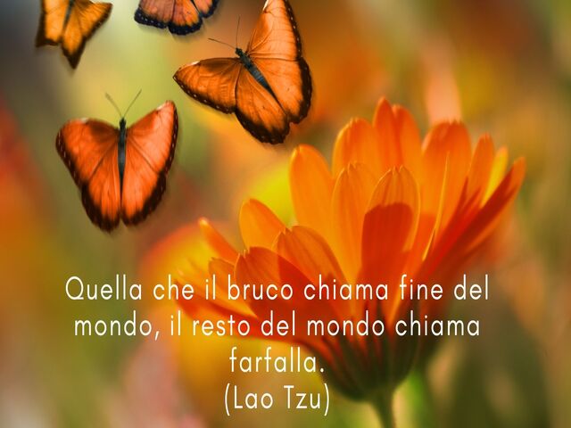 Quella che il bruco chiama fine del mondo, il resto del mondo chiama farfalla.(Lao Tzu)