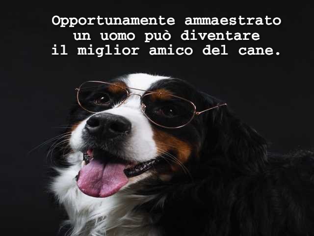 Opportunamente ammaestrato un uomo può diventare il miglior amico del cane.