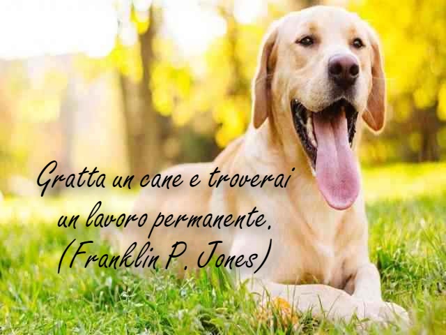Gratta un cane e troverai un lavoro permanente.(Franklin P. Jones)