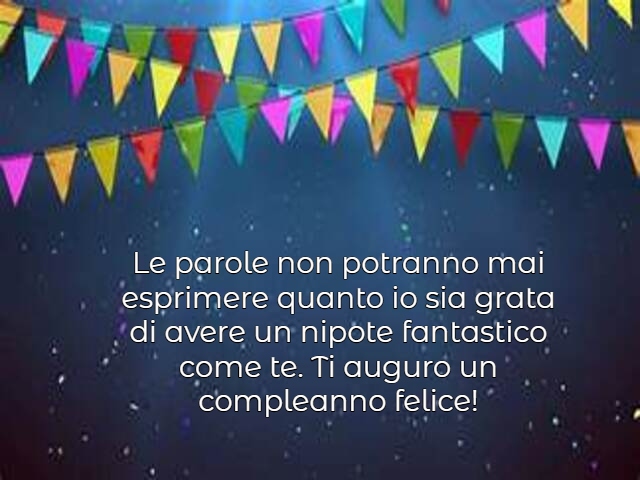 Le parole non potranno mai esprimere quanto io sia grata di avere un nipote fantastico come te. Ti auguro un compleanno felice!
