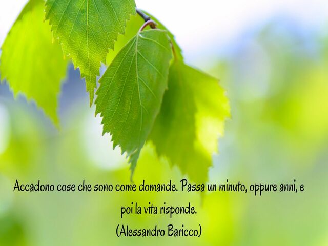 Accadono cose che sono come domande. Passa un minuto, oppure anni, e poi la vita risponde.(Alessandro Baricco)
