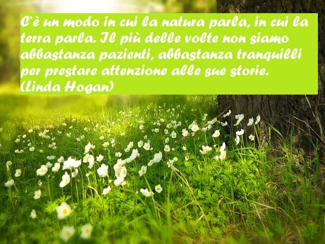 C’è un modo in cui la natura parla, in cui la terra parla. Il più delle volte non siamo abbastanza pazienti, abbastanza tranquilli per prestare attenzione alle sue storie. (Linda Hogan)