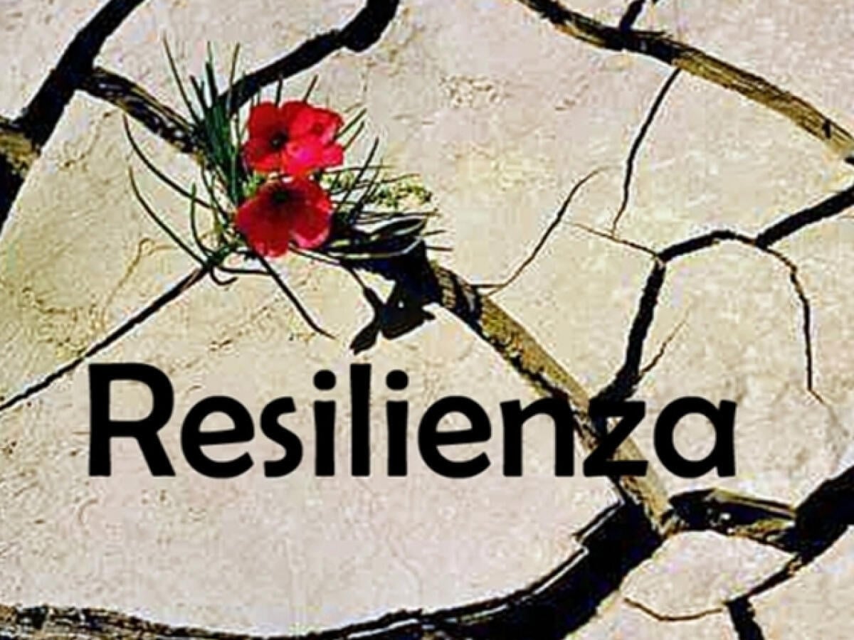 Resilienza: 153 frasi, aforismi, immagini sulla resilienza e la capacità di affrontare con positività gli eventi - Resilienza