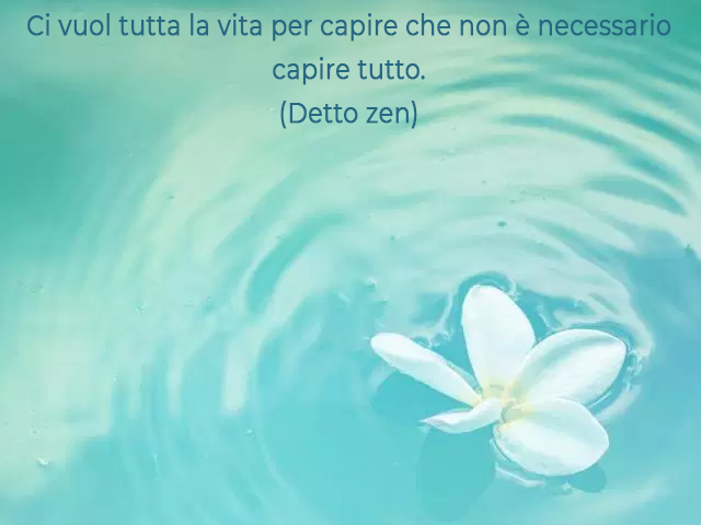 Ci vuol tutta la vita per capire che non è necessario capire tutto.(Detto zen)