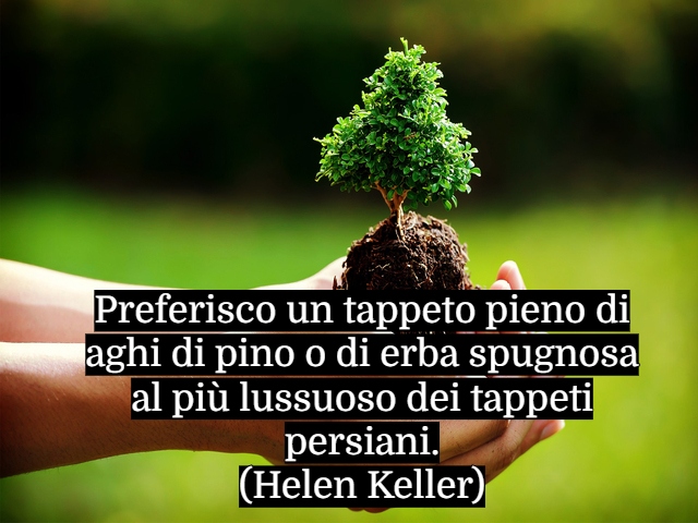 Preferisco un tappeto pieno di aghi di pino o di erba spugnosa al più lussuoso dei tappeti persiani.(Helen Keller)