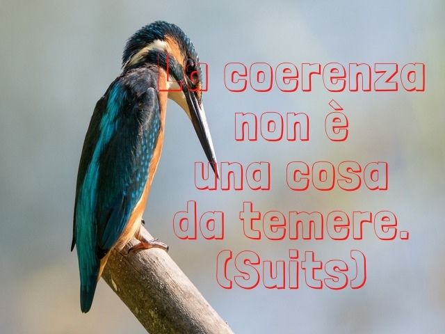 La coerenza non è una cosa da temere.(Suits)