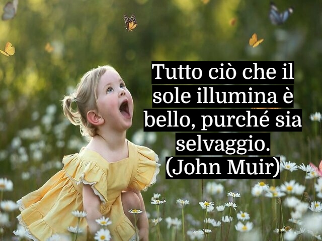 Tutto ciò che il sole illumina è bello, purché sia selvaggio.(John Muir)