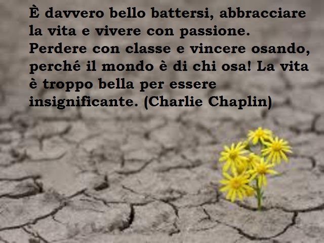 E' davvero bello battersi abbracciare la vita e vivere con passione. Perdere con classe e vincere osando, perchè il mondo è di chi osa! La vita è troppo bella per essere insignificante.(Charlie Chaplin)