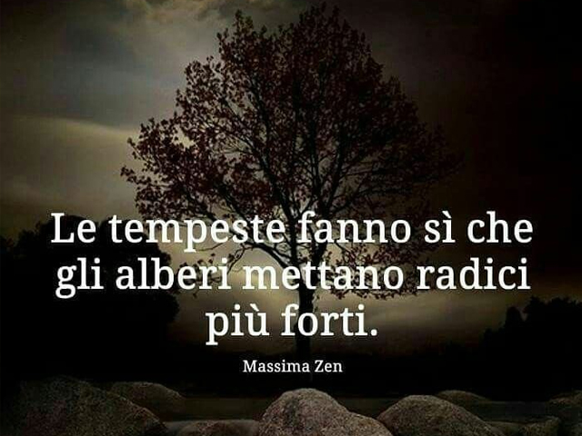 Le tempeste fan si che gli alberi mettano radici più forti.(Massima Zen)