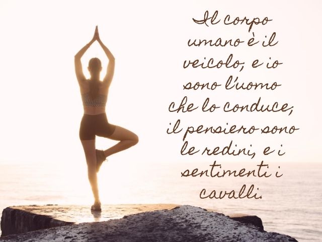 Il corpo umano è il veicolo; e io sono l’uomo che lo conduce; il pensiero sono le redini, e i sentimenti i cavalli.(Platone)